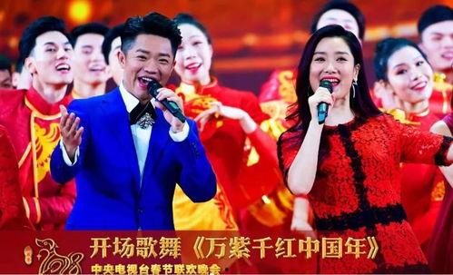 春晚演员爆料大全最新版,揭秘幕后故事与精彩瞬间
